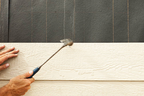 Best Historical Building Siding Restoration  in Cassville, MO